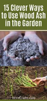 15 Ways You Can Use Wood Ash In Your Garden Tips By Expert Gardeners Garden Fertilizer Diy Garden Companion Planting Diy Fertilizer