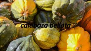 Great for individuals, businesses, and children. How To Say Acorn Squash In Spanish Youtube