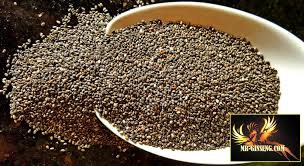 Graines De Chia Proprietes Bienfaits Posologie Effets