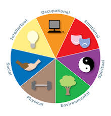 Mental, emotional and social health. 8th Grade Unit 1 Seven Dimensions Of Wellness And Health Goals Health Education