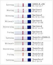 Testreihen Kryo Transfer Mit Und Ohne Schwangerschaft Goldtopf
