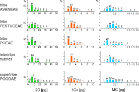 Image result for Trisetopsis elongata
