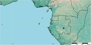 Image result for Whitfieldia brazzae