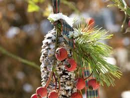 Winter Und Weihnachtsdekoration Selber Machen Rezept Vogelfutter Selbermachen Geschenke Fichtenzapfen