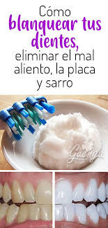Pasta Casera Para Dientes Amarillos Sarro Dental Y Mal Aliento Coconut Health Benefits Lemon Benefits Health Tips