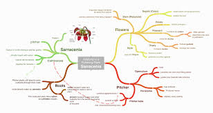 20 Best Mind Mapping Software Best Mind Map Tools