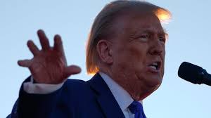 Dairy Queen names successor for retiring CEO