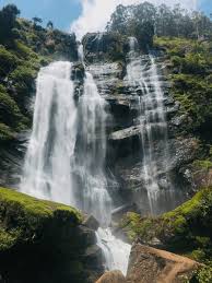 1 Beautifully Walter Falls Sri Lanka Royalty-Free Images, Stock Photos &  Pictures