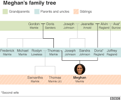 In recent years, genetic researchers have begun to use dna testing to determine ancestry and understand patterns within a family. Profile Duchess Of Sussex Bbc News