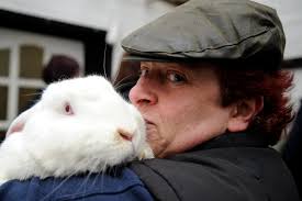 Rabbit rescue in Bolton has to close says owner after 16 years