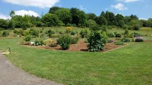 Desde 1996, la comunidad urbana del gran nancy, substituye al distrito urbano de nancy en la asociación que lo vincula a la universidad henri poincaré para la financiación y la gestión del « conservatoire et jardins botaniques de nancy ». Jardin Botanique Jean Marie Pelt Villers Les Nancy 2021 All You Need To Know Before You Go With Photos Tripadvisor