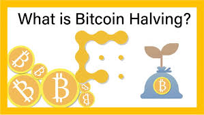 The price of bitcoin is affected directly by two things; What Is Bitcoin Halving Here S Everything You Need To Know Coindesk