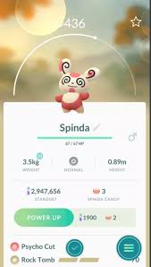 Raikou Field Research Brings Spinda And Shinies Pokemon