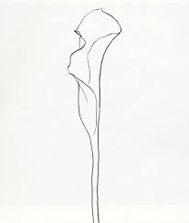 Ellsworth Kelly Line Drawing Ellsworth Kelly Flower Drawing Tumblr Flower Drawing
