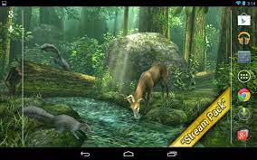 Live Wallpapersapk Live Wallpapers Wallpaper Wallpaper Free Download