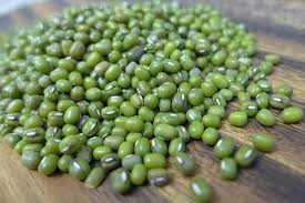 Hasil gambar untuk gambar kacang hijau