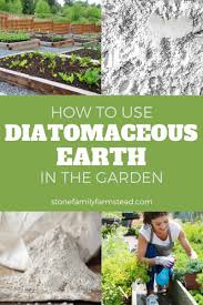Maybe you would like to learn more about one of these? How To Use Diatomaceous Earth In The Garden Stone Family Farmstead