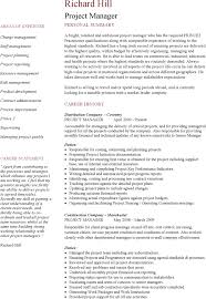 A 10+ year career covering the development and management of major $mm upstream projects. Free Project Manager Cv Example Pdf 208kb 3 Page S