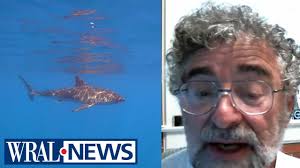 Expert Breakdown of Shark Attacks & Beach Safety from UNCW Professor in  Biology Marine Biology