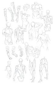 This anatomy drawing reference explains the differences between female and male legs. Male Anatomy References Anatomy Reference Anatomy Drawing Art Reference Poses