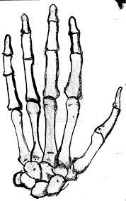 Skull hand temporary tattoo, skeleton face tattoo, skull selfie tattoo dark scary temp tattoo, skull sticker art tattoo for your hand. Doing This On My Hands With My Makeup To Freak People Out Even More Skeleton Drawings Skeleton Hands Drawing How To Draw Hands