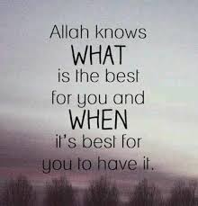 75+ Beautiful Islamic Quotes About Life With Pictures &amp; Images via Relatably.com