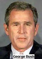 US responds to criticism of its stem cell research policy