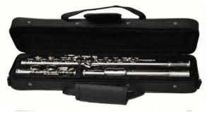 The company has been in. The 5 Best Flute Brands For Beginners Reviews 2021 Sonoboom Com
