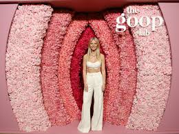 She has received numerous accolades for her work, including an academy award. Opinion Who S Afraid Of Gwyneth Paltrow And Goop The New York Times