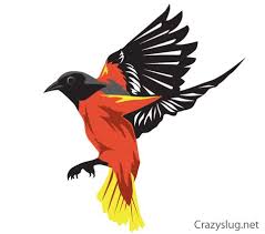 Free Oriole Bird Vector Dengan Gambar Binatang Seni Burung