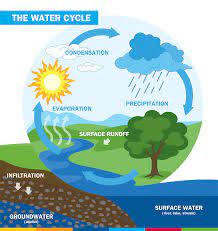 Download water cycle images and photos. My Water Cycle Adventure Ourboox