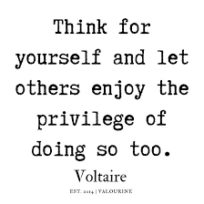 23 Voltaire Quotes 190815 Poster By Quotesgalore In 2020 Voltaire Quotes Wise Quotes Money Quotes