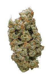 G13 haze nice classic sativa strain, high yielding, amazing citrus smell, and not have paranoia effect, i smoke this weed everyday xd=) smoke 10/10 high 10/10 taste 10/10 density 8/10 growth 8/10 yield. G13 Haze Strain Hybrid Cannabis Review Cbd Thc Hytiva