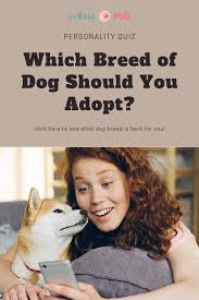 Approximately how many domestic breeds of dog are there? Dog Breeds List Of Which Dog Breed Is Right For Me Quiz Which Dog Breed Are You Quiz What Dog Breed Am I Quiz What Dog B Which Dog Are You