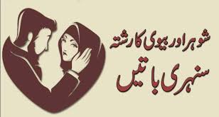 Aqwal e zareen ka encyclopedia urdu pdf free download aqwal e zareen ka encyclopedia compiled by roy muhammad kamal. Urdu Center Quotes Quotes About Husband And Wife In Hindi Urdu With Voice And Images Aqwal E Zareen Mian Bivi Facebook