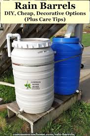 Rain Barrels Diy Cheap Decorative Options Plus Care Tips