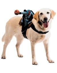 Making Something Like This For My Dog Sven Pet Halloween Costumes Dog Costumes Funny Large Dog Costumes