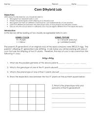 In the example presented to us in the section above the task is really easy: Corn Dihybrid Lab