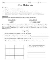 For dihybrid cross we study the inheritance of two genes. Corn Dihybrid Lab