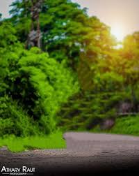 Green Nature Cb Background Free Stock Photo Download Now This Is Full Hd Natur Best Background Images Blur Background Photography Photoshop Digital Background