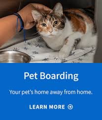 Like a human urgent care but for your pets. Emergency Animal Hospital Emergency Vet Clinic Emergency Pet Hospital
