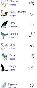 Birds Names In Urdu And English With Pictures Learn English Words Urdu English Language Course