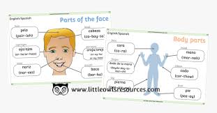 Human face is a very powerful tool in designer's toolbox. Face And Body Parts Cover Face Parts In Malay Hd Png Download Transparent Png Image Pngitem