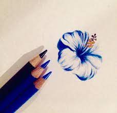 How To Draw A Hibiscus Flower Drawing Butterfly Art Painting Colored Pencil Art Projects