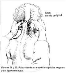 Ojos rojos e inflamados, con sensacin de sequedad y calor, y aversin a la luz. Anatomia Y Exploracion Fisica De La Columna Cervical Y Toracica