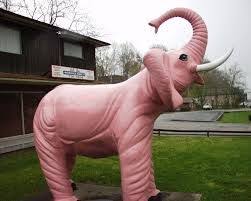 Pink Elephant Barboursville Wv Pink Elephant Elephant Dinosaur Stuffed Animal