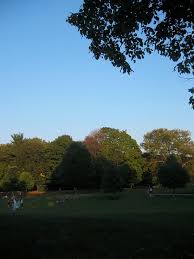 Prospect park