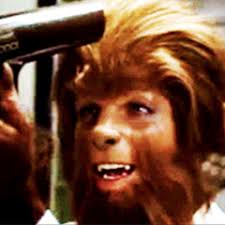 Stream Peter Doane music