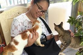 Proponents of spaying don't like having to take lives of unborn kittens, but their position is based on pragmatic. Adoption Philippine Animal Welfare Society