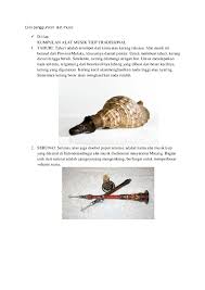 Syaratnya memiliki napas yang panjang dan kuat. Rerisita 34 Reri Sita Academia Edu